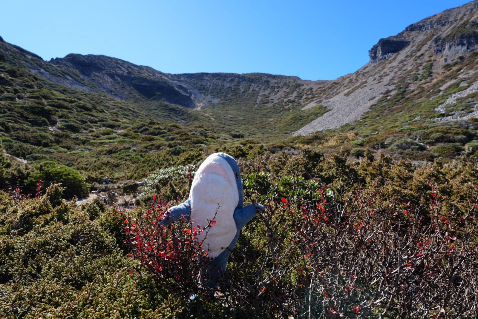 雪山主東/下翠池