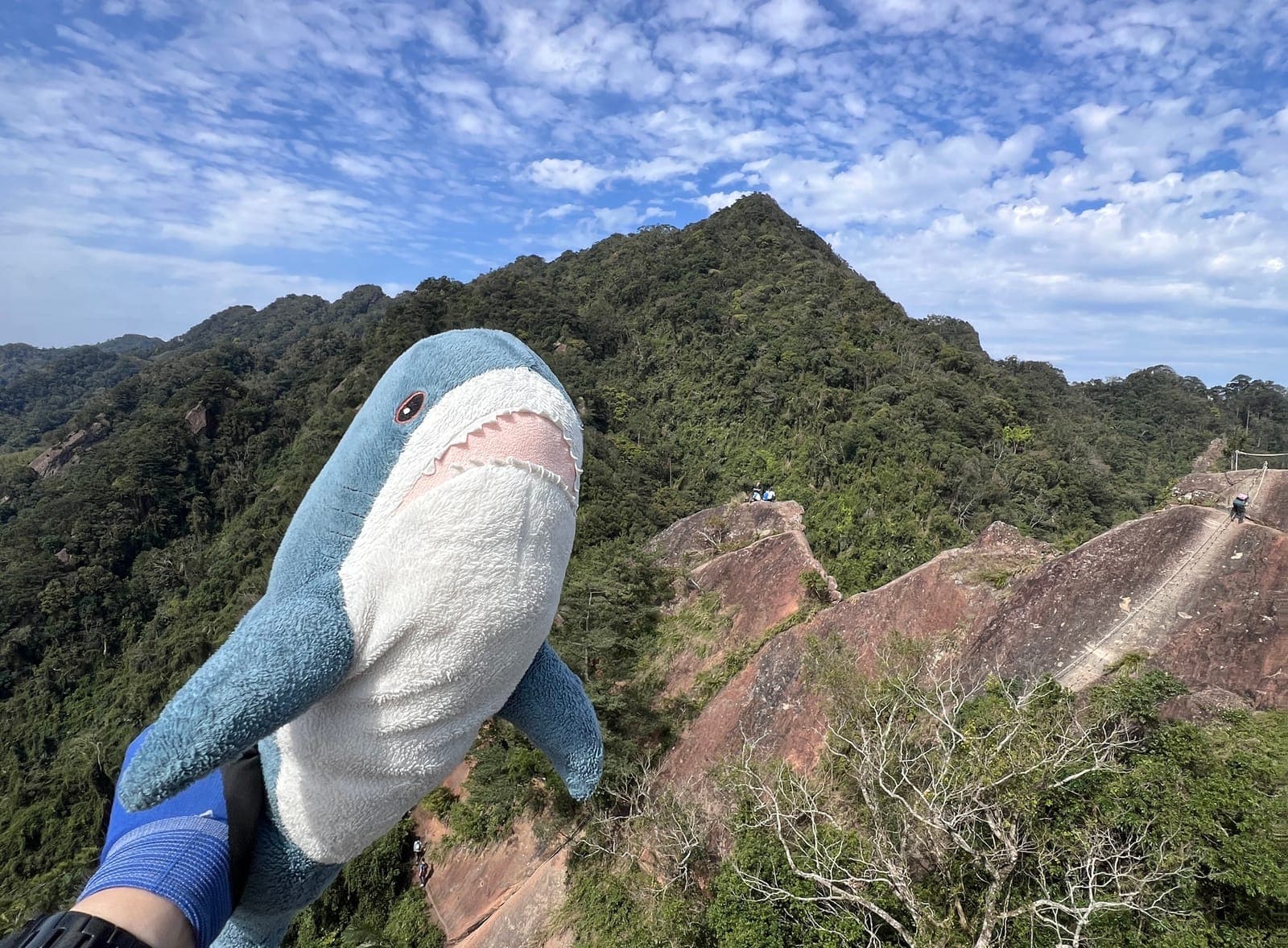 五寮尖登山步道