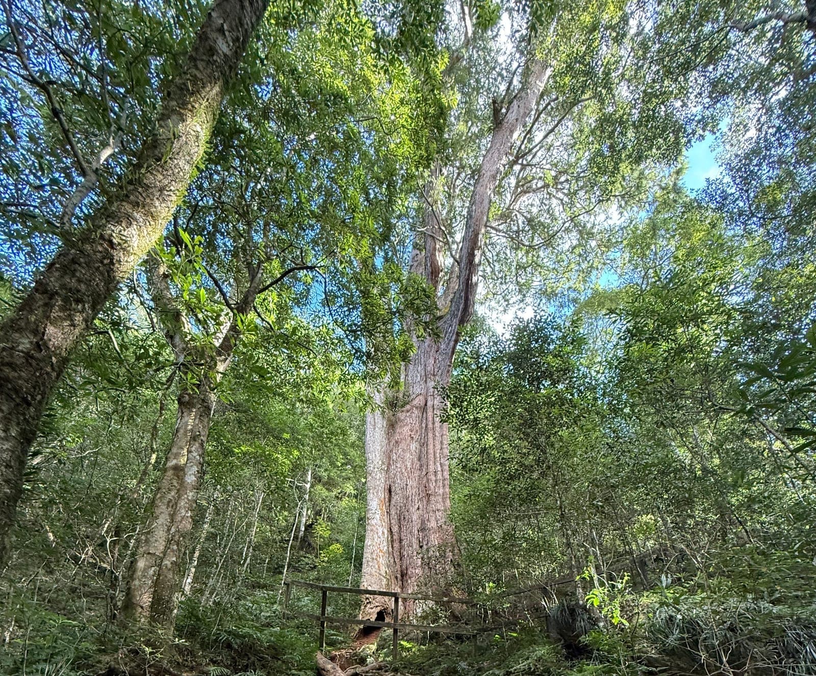 北得拉曼/內鳥嘴山