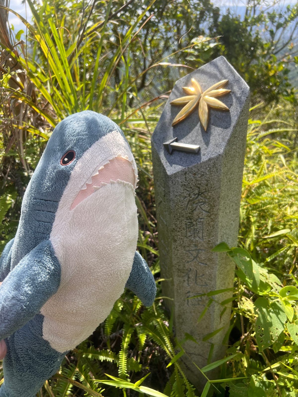 淡蘭古道南路TK3（茶道）