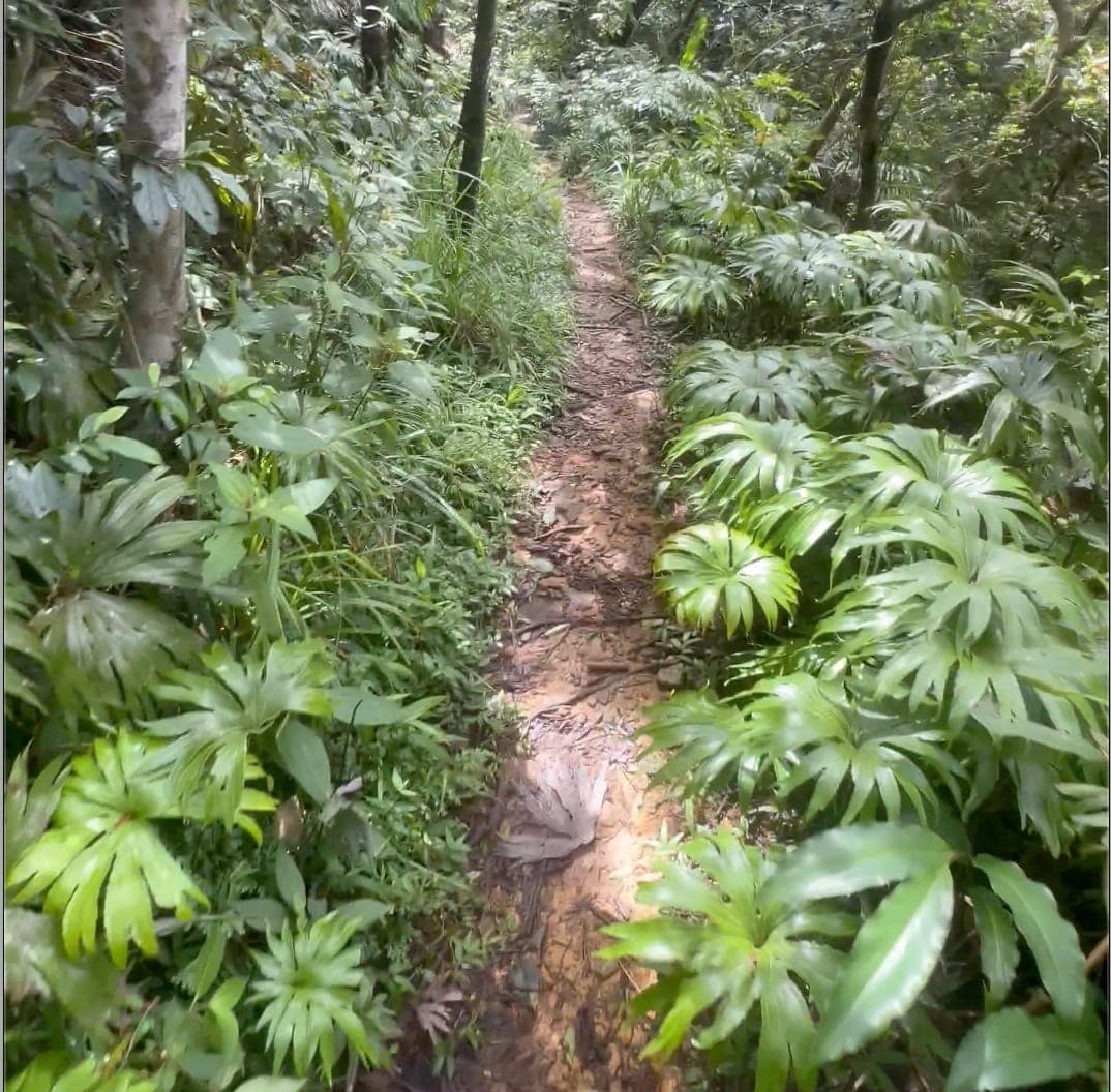 淡蘭古道中路TK2（民道）