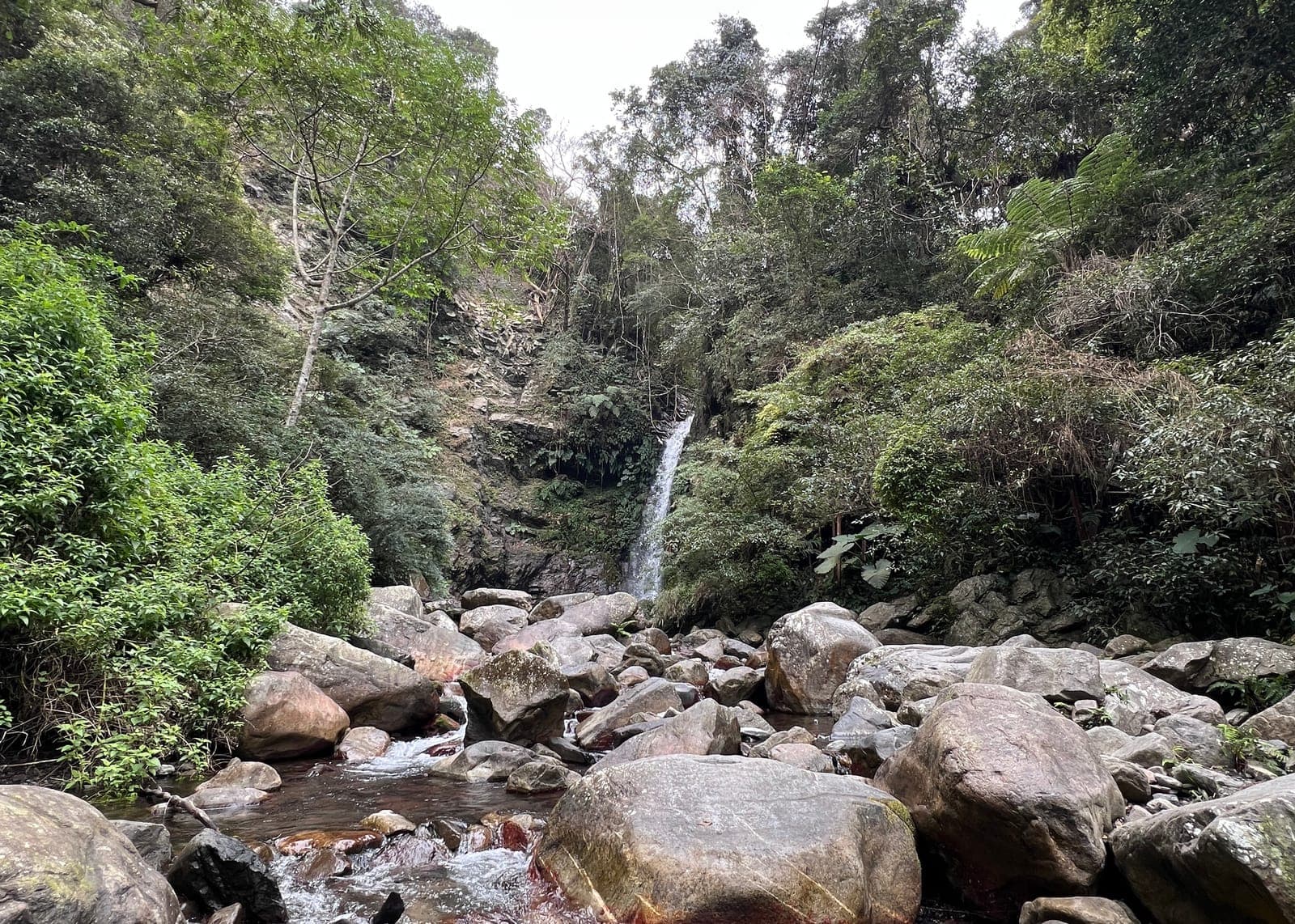 谷關七雄｜唐麻丹山（老么）