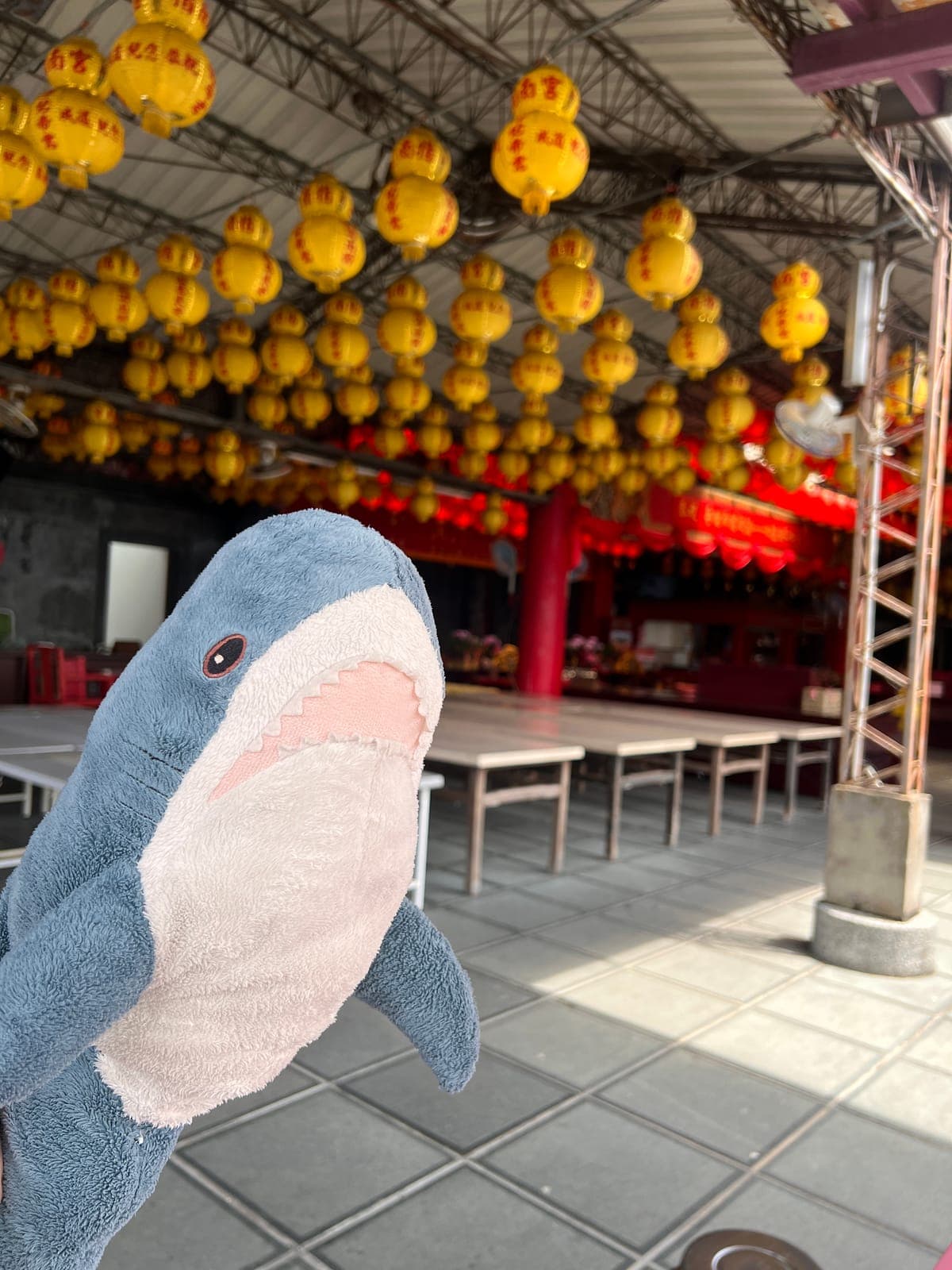 台北大縱走第七段｜指南宮→政大飛龍步道