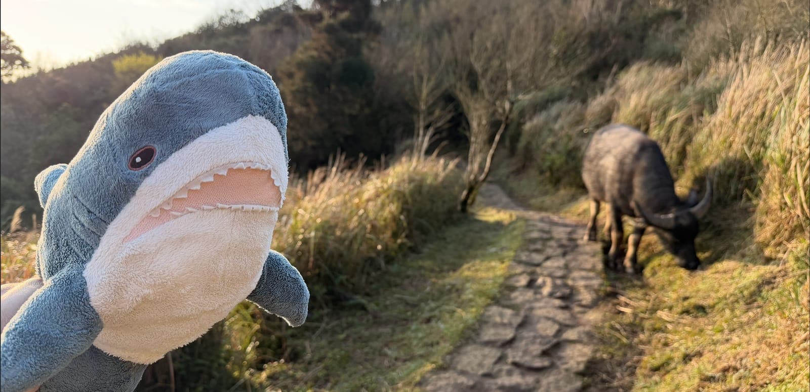 台北大縱走第三段｜小油坑→風櫃口