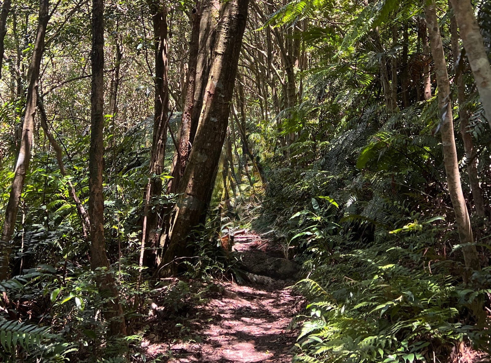 台北大縱走第四段｜風櫃口→捷運大湖公園站