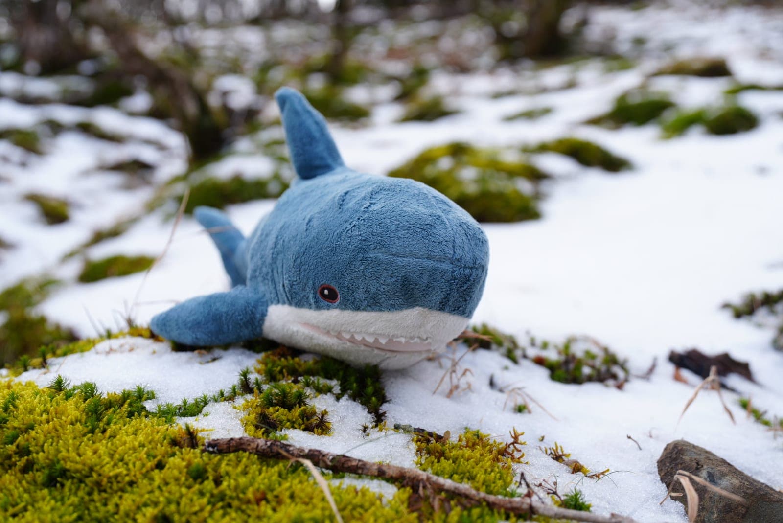 什麼是動態保暖？Gore-tex外套不能以一擋百嗎?