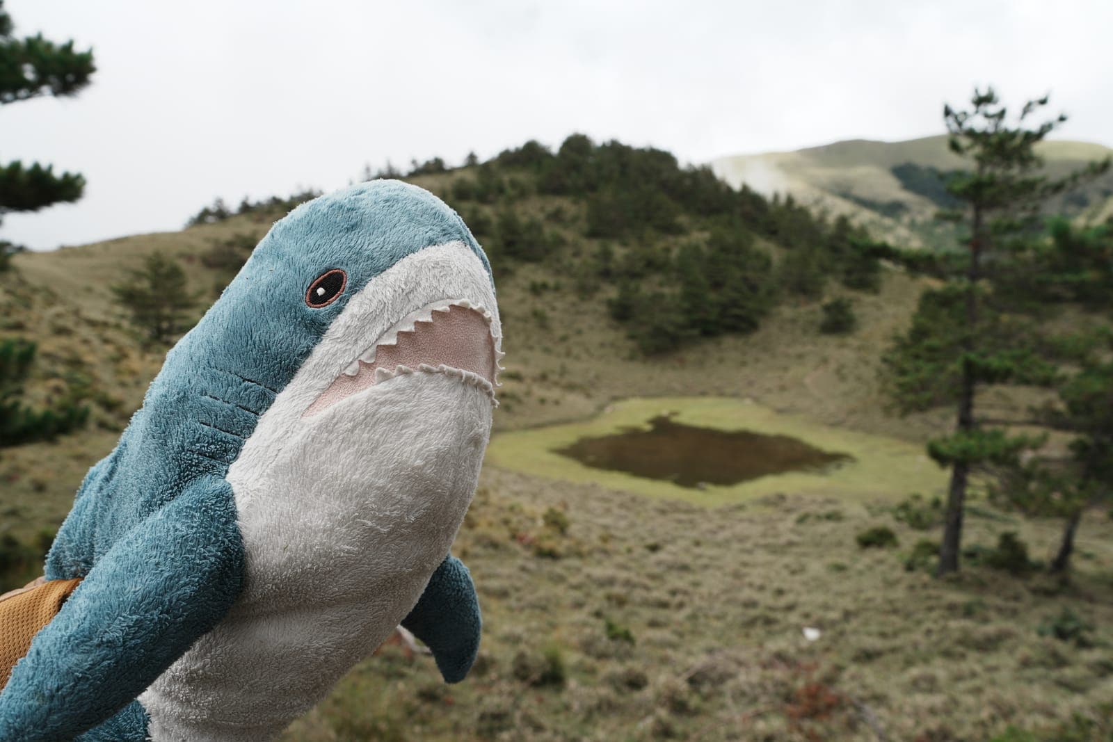 [新手推薦路線] 第一座郊山怎麼挑？