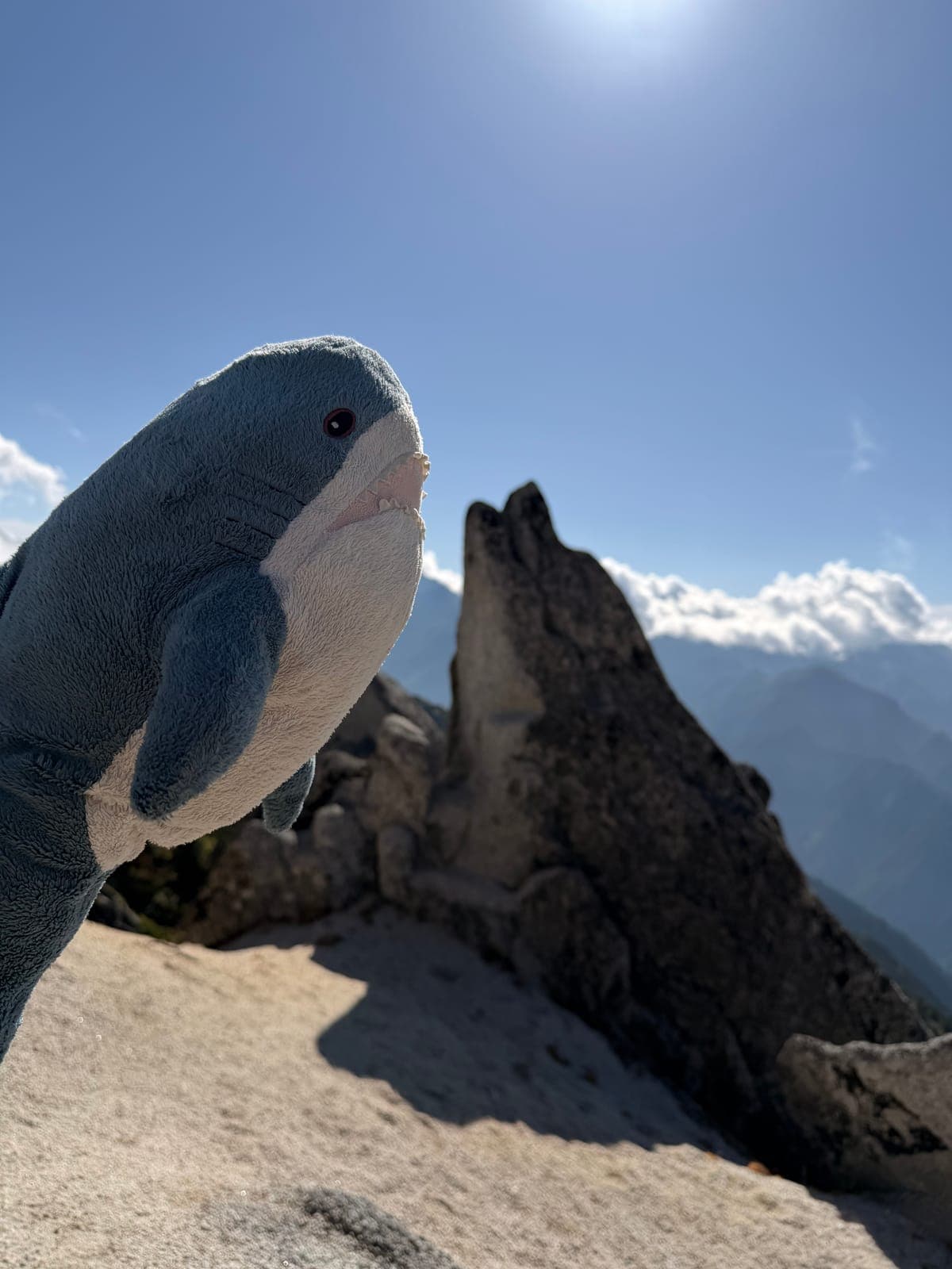 [登山團怎麼挑？] 從小白到專業隊員的必修課：商業團、自組團與後勤解析