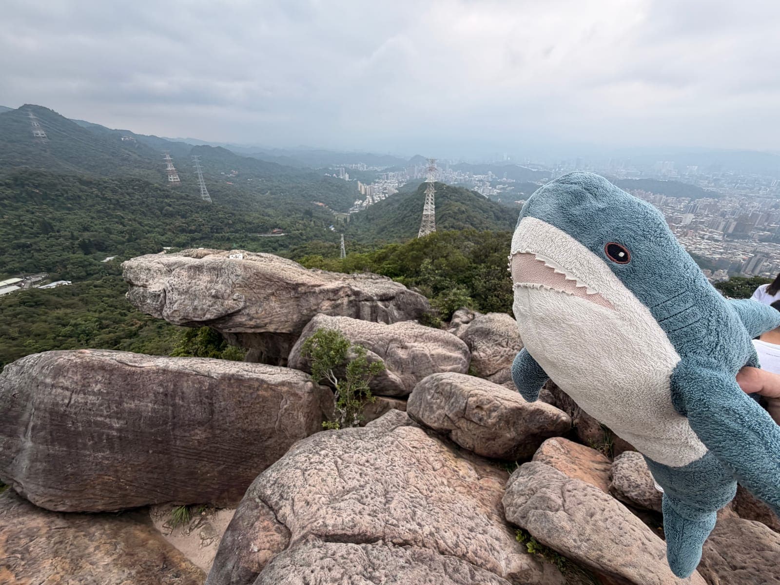 台北金面山｜雙心縱走