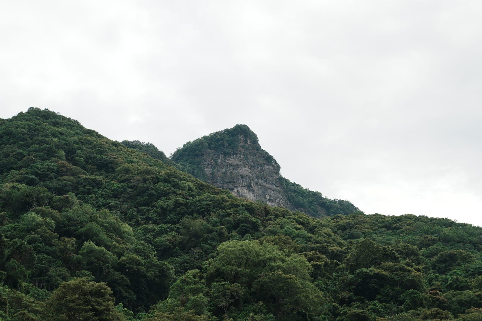 水雲三星|虎山 x 鳥嘴山 × 橫龍山