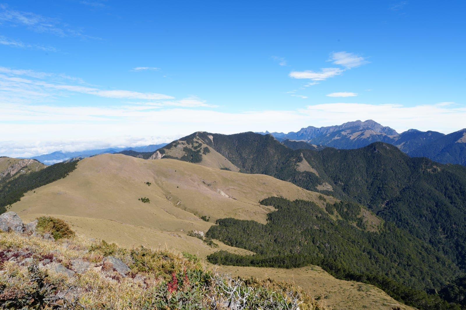 雪山西稜|雪山東峰、雪山主峰、火石山、頭鷹山、大雪山、中雪山