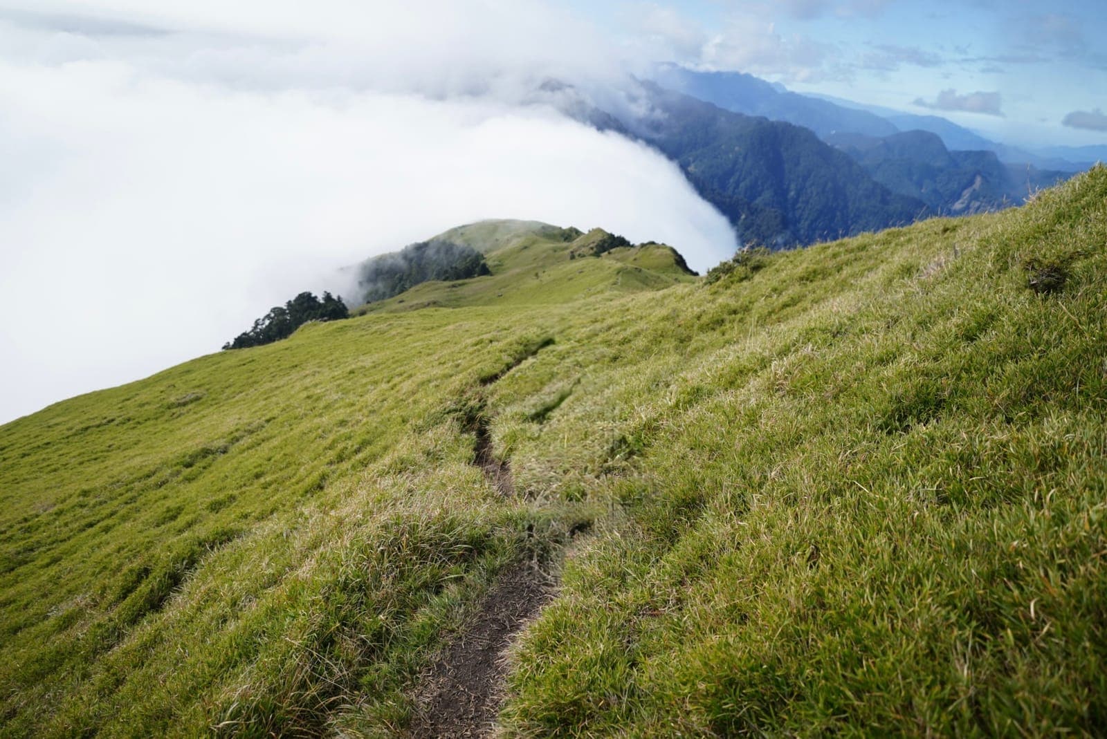 能高安東軍|能高主峰、能高南峰、光頭山、白石山、安東軍山