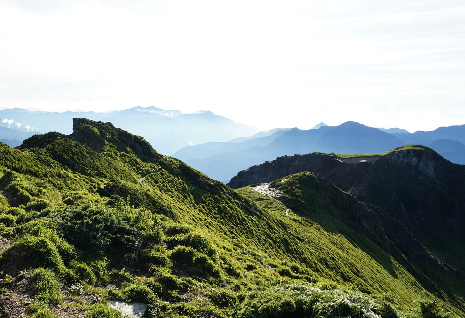 奇萊東稜|奇萊北峰、磐石山、太魯閣大山、立霧主山、帕托魯山
