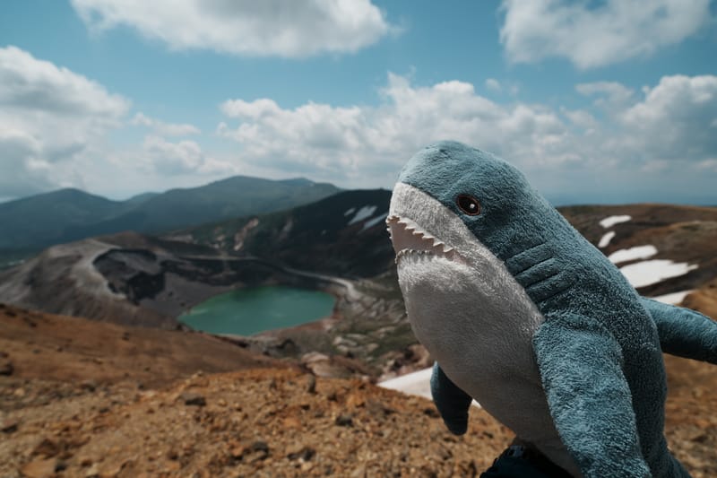 藏王山（熊野岳）